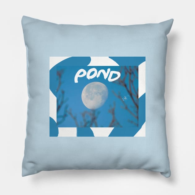 POND Pillow by Noah Monroe