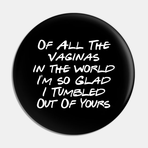 of All The Vaginas in the world I'm so Glad I Tumbled Out Of Yours Pin by sarabuild