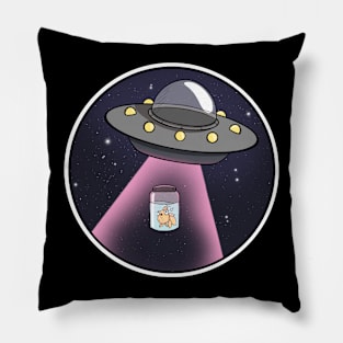 Abduction Pillow