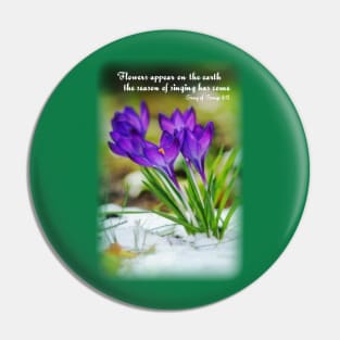 Flowers appear on the earth; the season of singing has come - Song of Songs 2:12 Pin