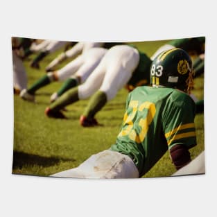 American Football Tapestry