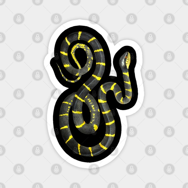 Dramabite Snake Black Yellow Realistic Snake Owner  Animal Ophiology Ringed Cat Snake Magnet by dramabite