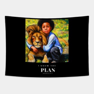 The Plan Tapestry