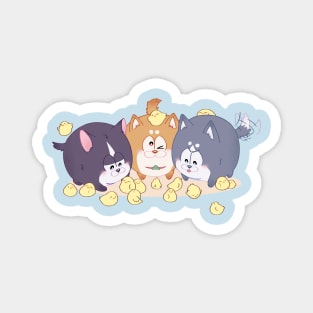 Dogs and chickens Magnet