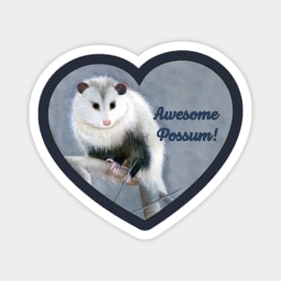 Awesome Possum! Original wildlife artwork. Magnet