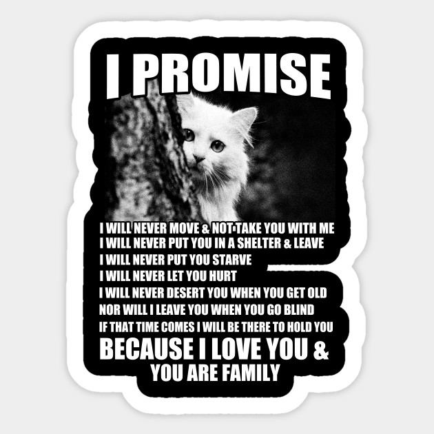 I Promise I Love My Cat Cats Lover Sticker Teepublic