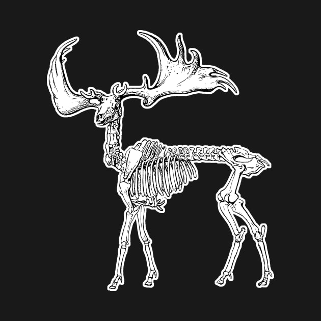 Deer Skeleton | Woodland Creature by encycloart