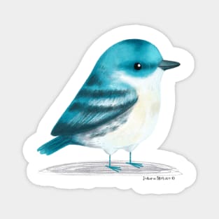 Cerulean Warbler Bird Magnet