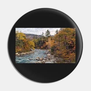 Swift River Autumn Pin