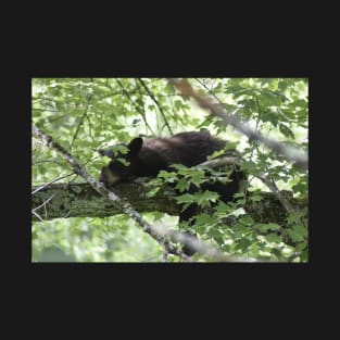 Sleeping Black Bear T-Shirt