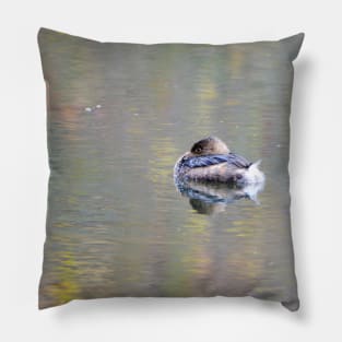 Watercolor Duck Pillow