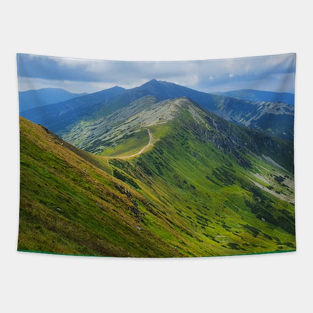 Dazzling Mountain Views Tapestry by Kate-P-