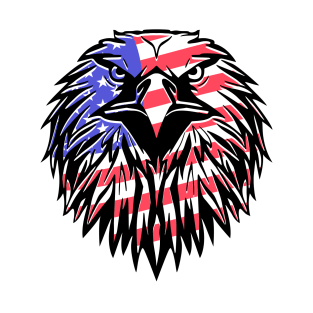 USA flag eagle T-Shirt