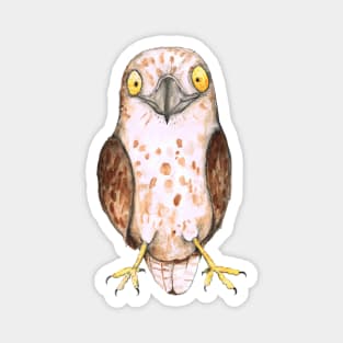 Cute hawk Magnet