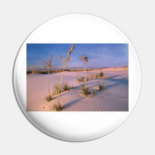 White Sands National Monument Pin
