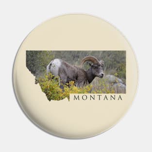 Montana Bighorns Pin