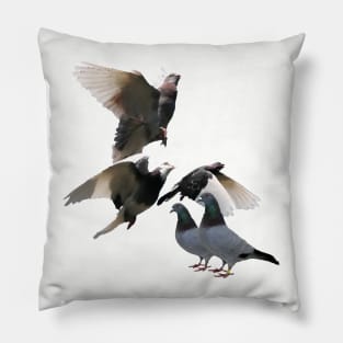 Pigeons Pillow