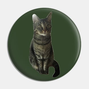 Good Kitty Pin