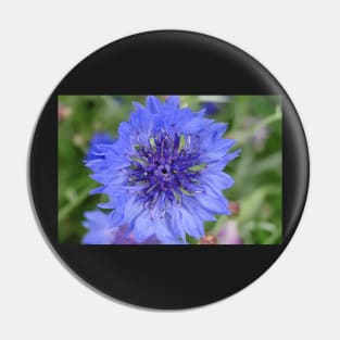 Cornflower Blue Pin