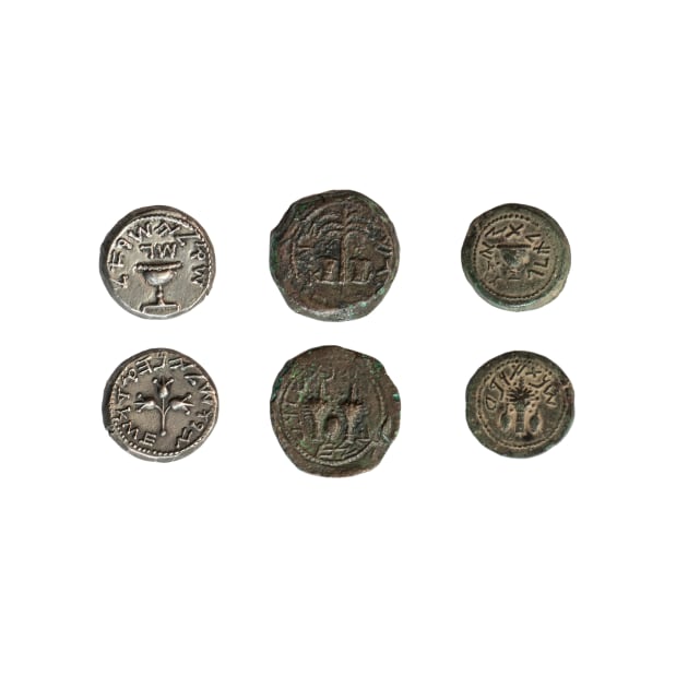 First Jewish Revolt coins (C022/3062) by SciencePhoto