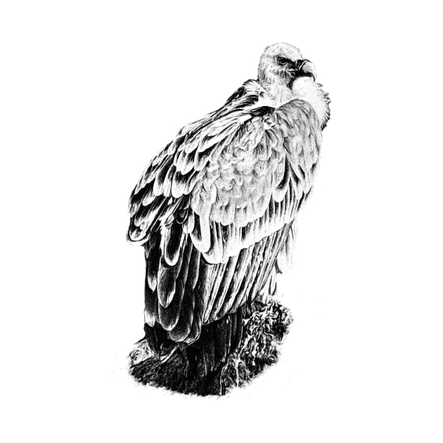 Vulture by Guardi