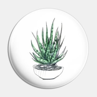 WC&S - Haworthia Pin