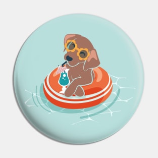 Summer pool pawty // aqua background brown Labrador retriever dog breed in vacation playing on swimming pool Pin