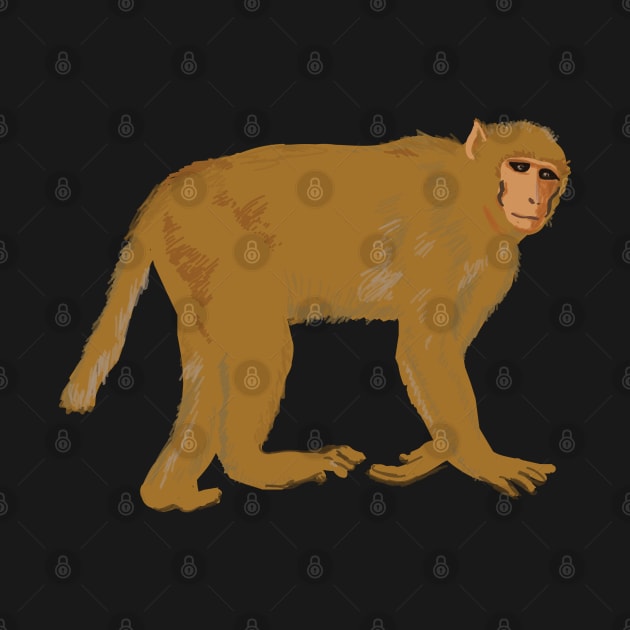 Baboon Monkey by Manitarka