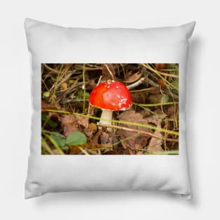 klb magical mushroom Pillow