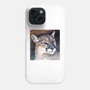 Female Mountain Lion Phone Case