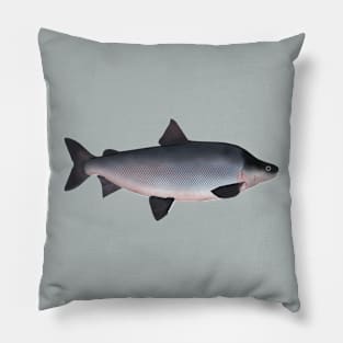 Humpback Whitefish Pillow