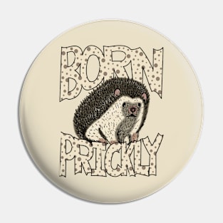 Cute Hedgehog Born Prickly Pin