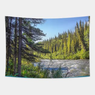 USA. Alaska. Denali National Park. Trees. Tapestry