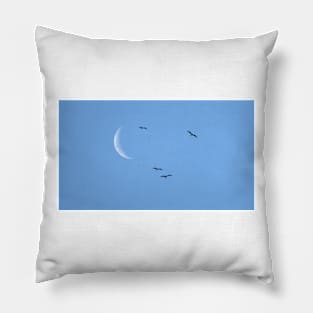 Dancing with the moon Pillow