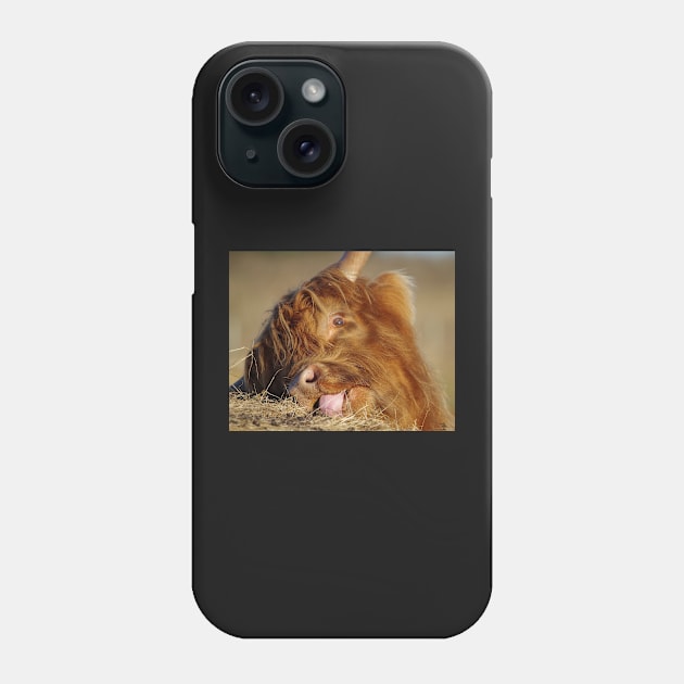 Highland cattle Phone Case by Simon-dell