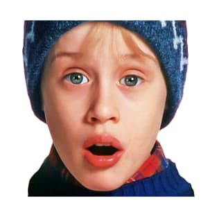 Home Alone 2: Lost In New York, Funny Christmas Movie Design T-Shirt