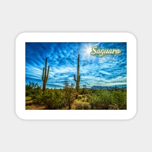 Saguaro National Park Magnet