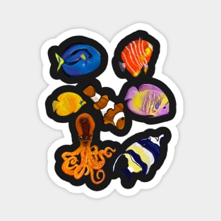 Best fishing gifts for fish lovers 2022. Octopus squid and friends  tropical Coral reef fish rainbow coloured / colored   fish and octopus swimming under the sea Magnet