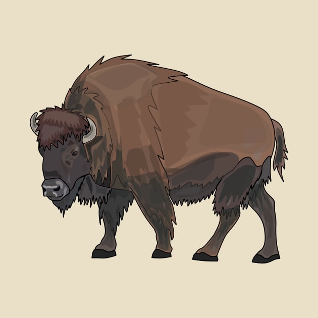 Bison cartoon illustration by Miss Cartoon