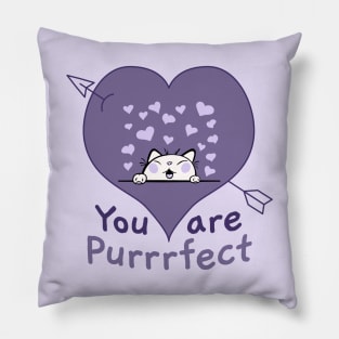 You are Purrfect Pillow