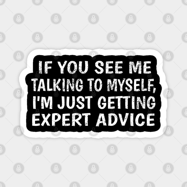 If you see me talking to myself i'm just getting expert advice Magnet by F&L Design Co.