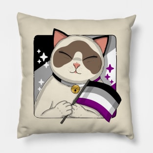 Cute Ragdoll Cat Holding Asexual Pride Flag Pillow