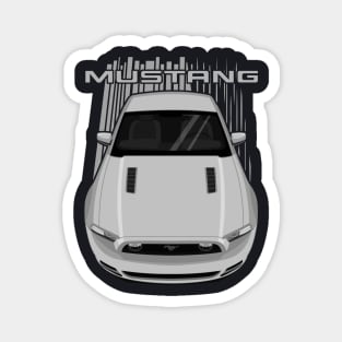 Mustang GT 2013 to 2014 - Silver Magnet