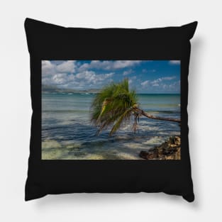 Caribbean Island Pillow