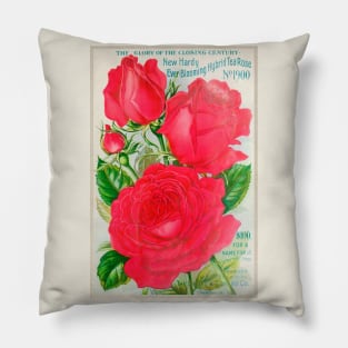 Dingee & Conard Co. Seed Catalogue Pillow