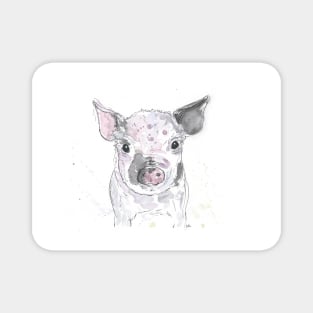 Piglet portrait. Magnet