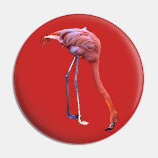 Pink Flamingo Mirage Pin