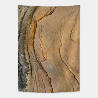 Beach side intimate rock texture Tapestry