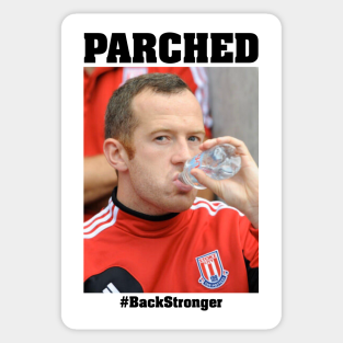 Peter Crouch Stickers Teepublic
