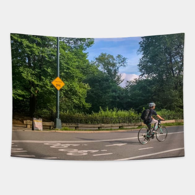 Central Park Summer Biker Manhattan NYC Tapestry by eleonoraingrid